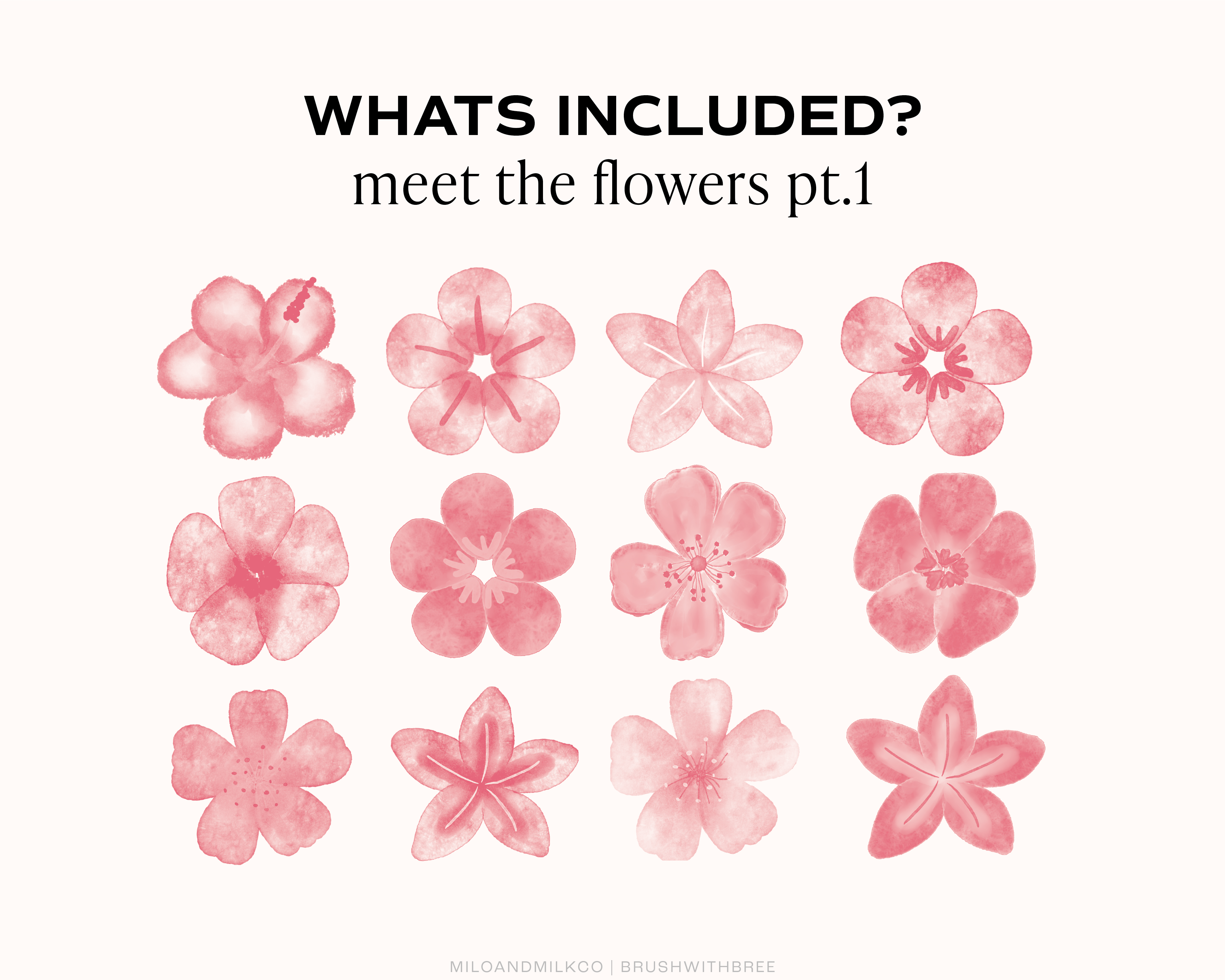 Watercolour Flower Stamp Procreate Brush Set