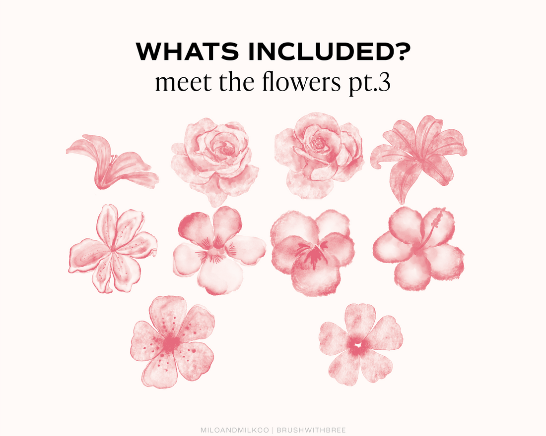 Watercolour Flower Stamp Procreate Brush Set